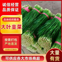 大量供应头刀，各种规格平茬，精品加工货，食品厂货源