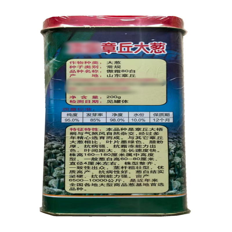 傲霜80白大葱种子章丘大葱种子高产大梧桐种子