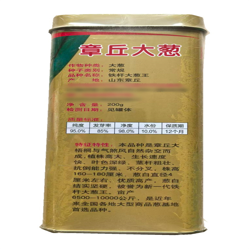 铁杆大葱王种子抗倒能力强章丘大葱种子