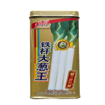 铁杆大葱王种子抗倒能力强章丘大葱种子