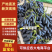 陕西蓝宝石葡萄产地实力代办/品质保证/口感好价格低糖度高