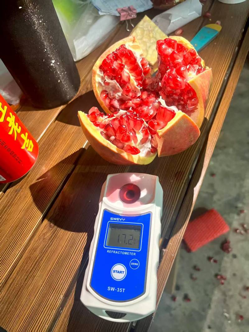 会理软籽石榴产地一手货源，量大价优，品质高口感好价格低