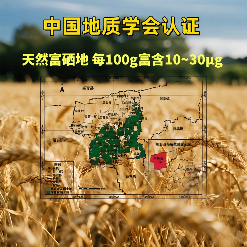 贡丰仓富硒面粉