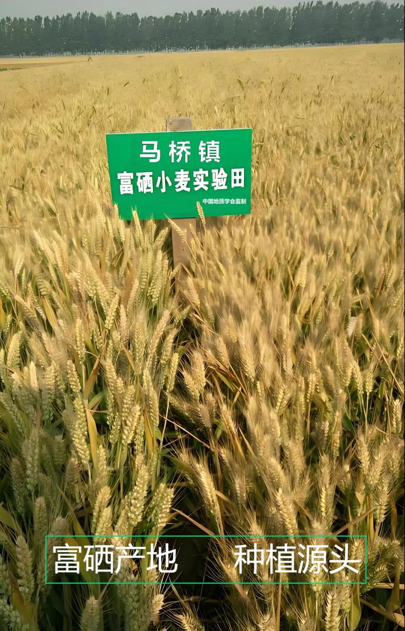 贡丰仓富硒面粉
