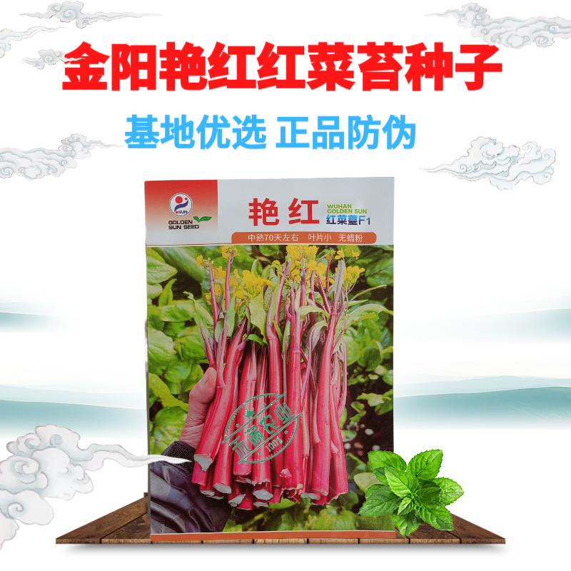 【金阳艳红】小叶亮红基地菜农专用红菜苔正宗武汉红菜苔耐寒