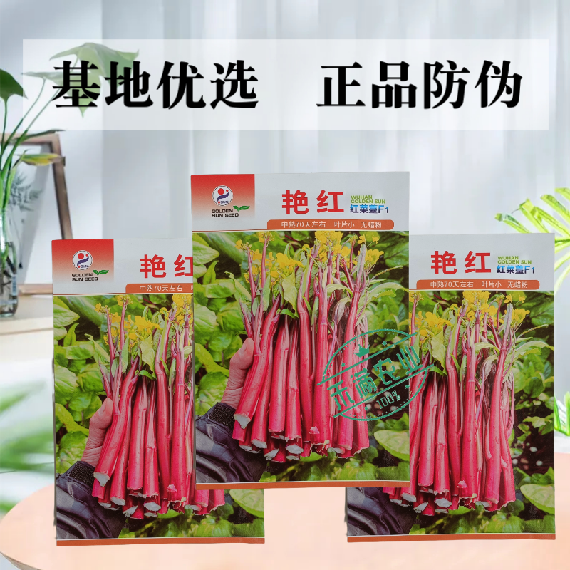 【金阳艳红】小叶亮红基地菜农专用红菜苔正宗武汉红菜苔耐寒