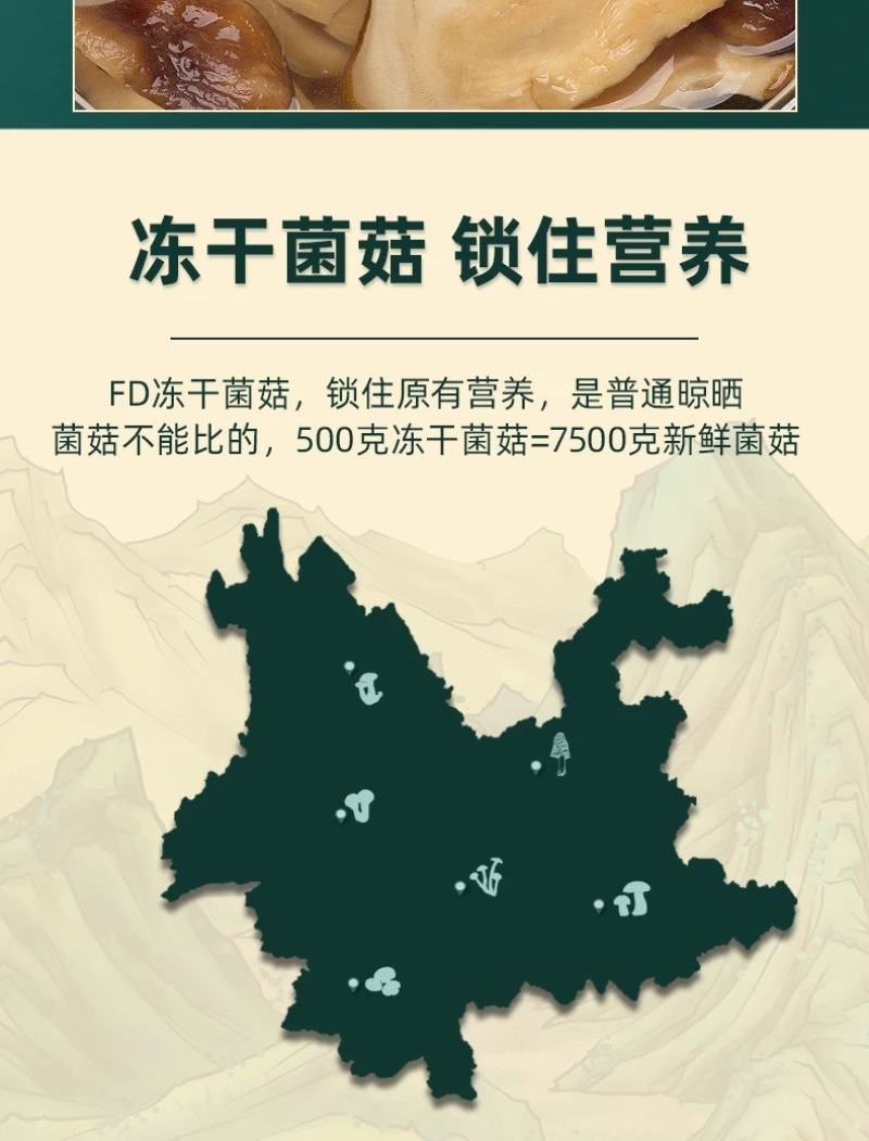 冻干松茸片礼盒装云南特产高山松茸片6盒装礼盒厂家批发