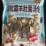 金菇朵朵黑松露羊肚菌汤包菌菇干货云南厂家直供批发