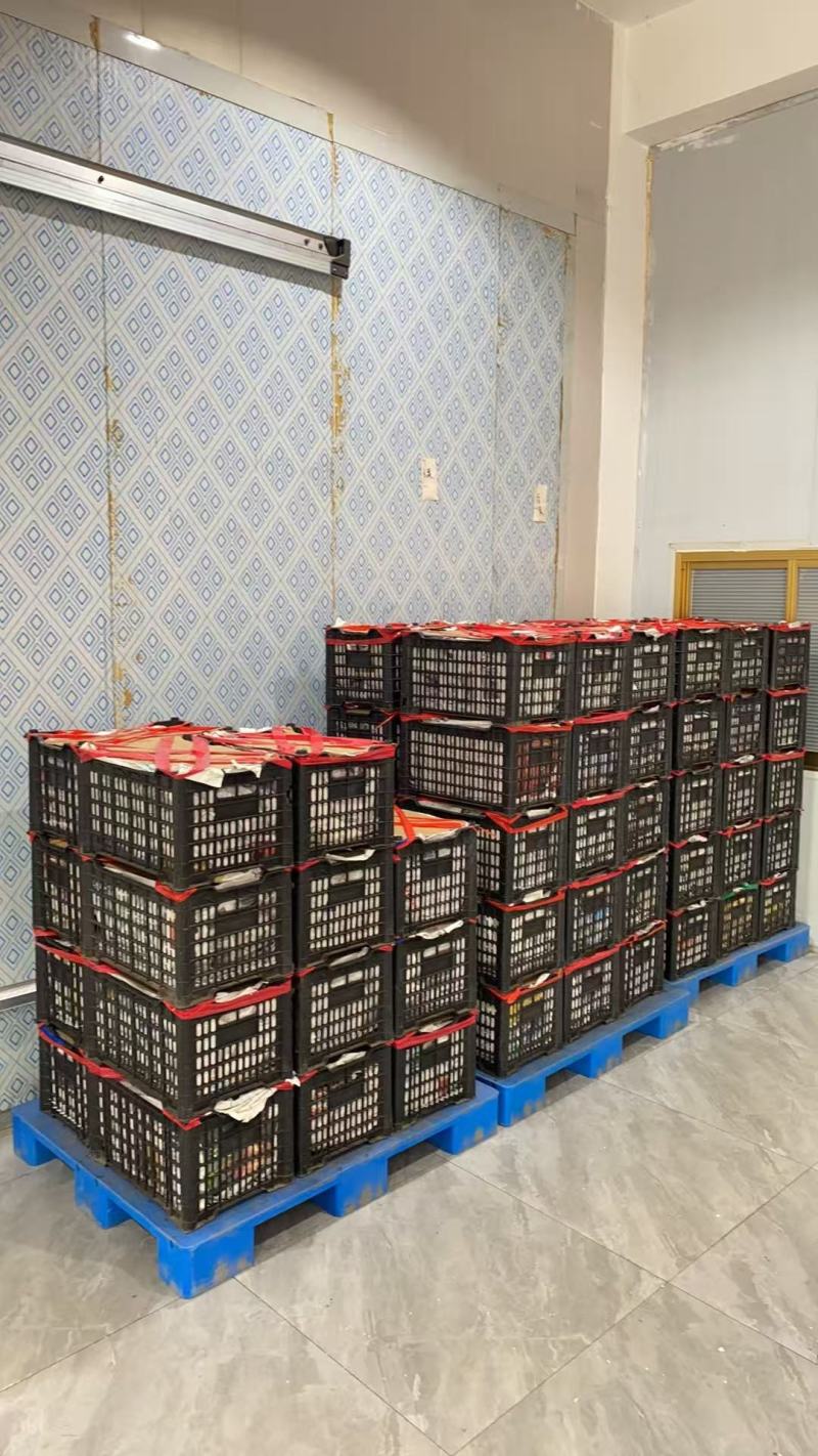 软枣子丹东软枣猕猴桃圆枣子东北水果小猕猴桃奇异果莓迷你猕