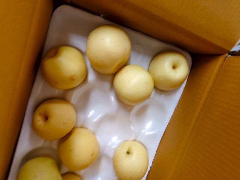 河北皇冠梨脆甜可口量大从优欢迎采购对接全国市场品质好