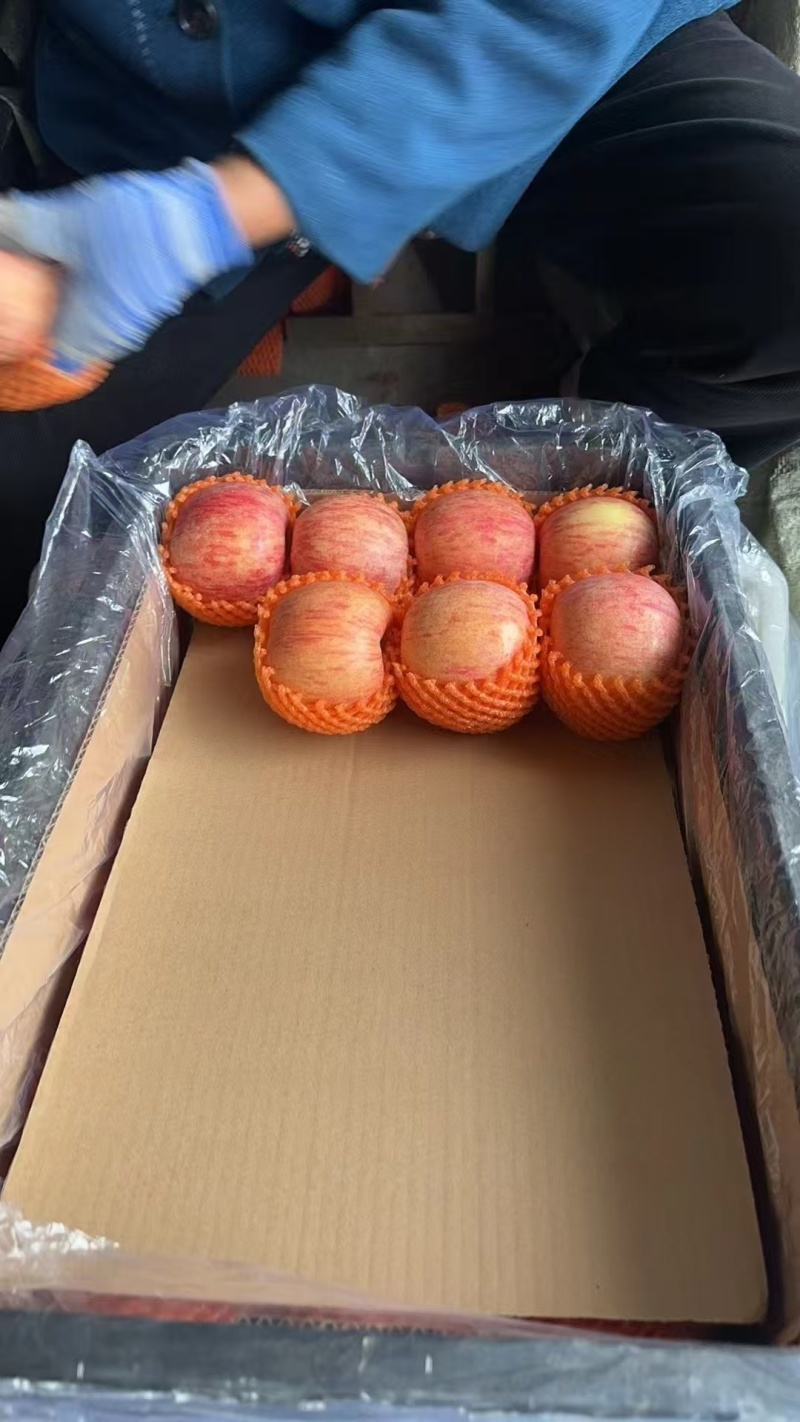 红富士苹果，全国发货，一件代发，对接电商，批发货源