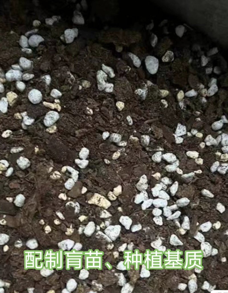 海南脱盐椰粒、粗椰，一手货源，品质保证，可视频看货，量大从优