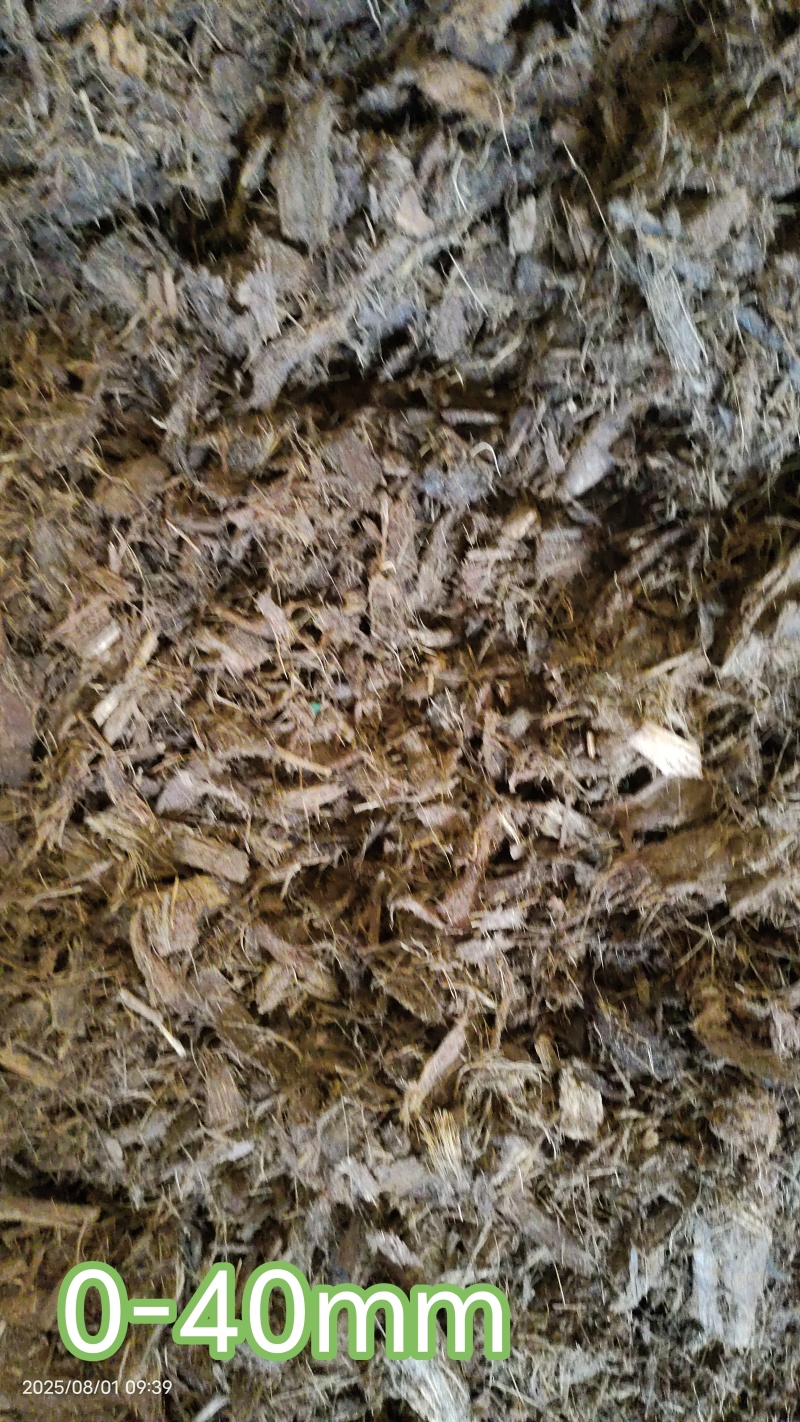 海南脱盐椰粒、粗椰，一手货源，品质保证，可视频看货，量大从优