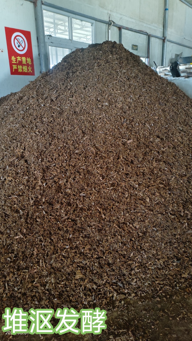 海南脱盐椰粒、粗椰，一手货源，品质保证，可视频看货，量大从优