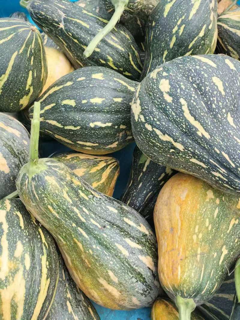 香芋南瓜【许昌南瓜基地】对接商场，档口，电商诚信经营