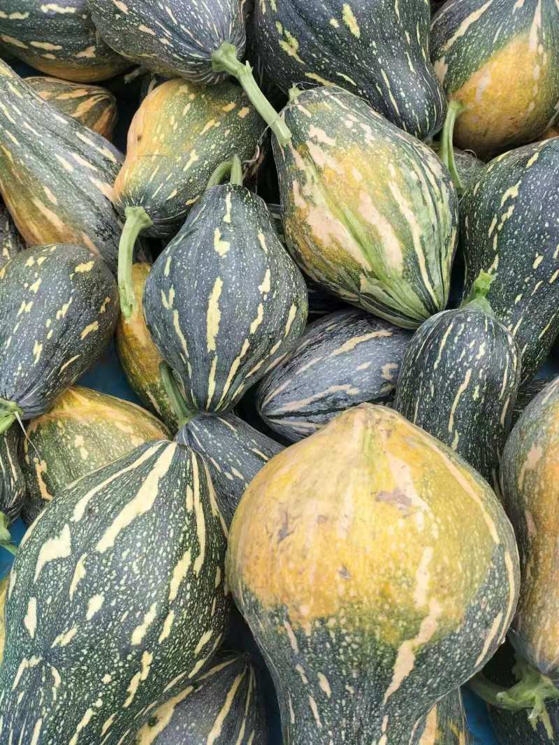 香芋南瓜【许昌南瓜基地】对接商场，档口，电商诚信经营