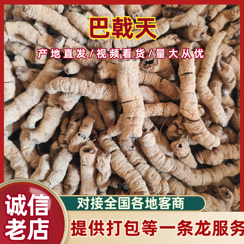 巴戟天正品批发零售常年供货。质量保证，放心购买。
