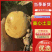 黄皮黄心【精品土豆】全国产地直发、一手货源。对接出口！