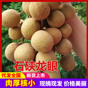 石硖龙眼茂名龙眼产地直发甜美多汁货源充足量大优惠