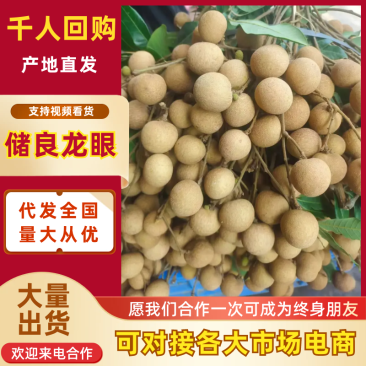 储良龙眼广东龙眼产地直发品质保障按需包装对接全国