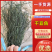 山东菏泽脱水干豆角产地一手货源对接全国批发零售☎️联系