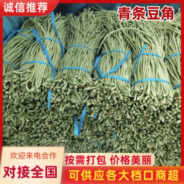 山东省菏泽长豆角产地一手货源对接全国批发☎️联系