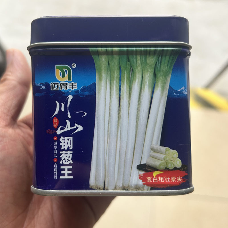 川山钢葱种子耐热耐寒叶色浓绿大葱种葱白硬长势快基地