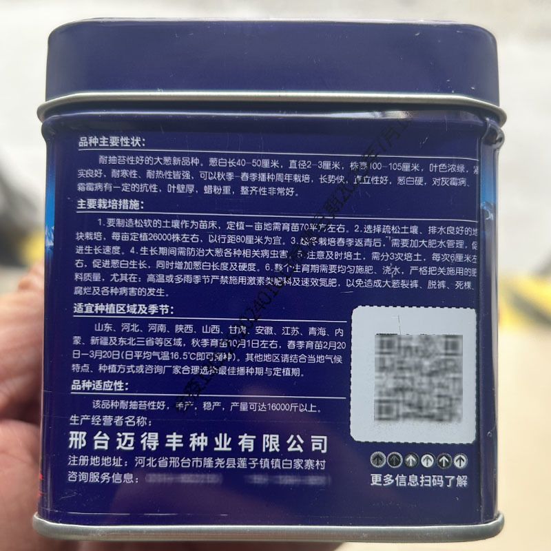 川山钢葱种子耐热耐寒叶色浓绿大葱种葱白硬长势快基地