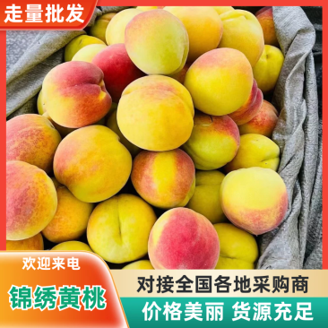湖南锦绣黄桃大量上市中，货源充足，视频看货，欢迎致电