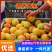 湖南锦绣黄桃大量上市中，精品果一件代发全国包邮