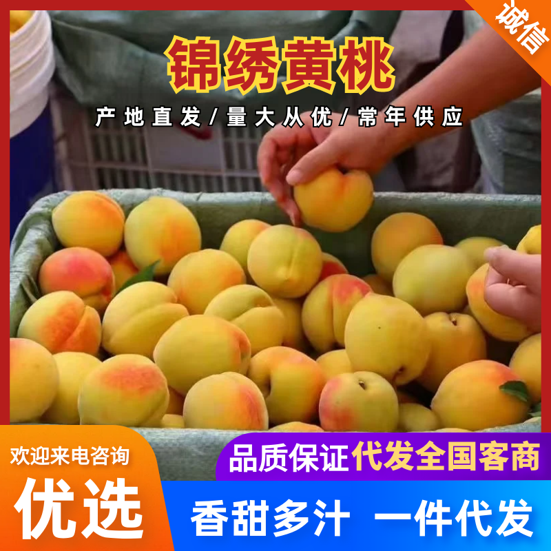 湖南锦绣黄桃大量上市中，精品果一件代发全国包邮