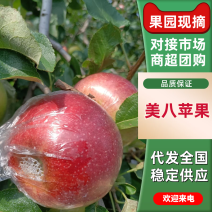 超市电商嘎啦苹果市场广阔价格合理欢迎来电