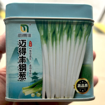 迈得丰钢葱种子耐抽苔耐热铁杆大梧桐大葱种籽抗倒伏