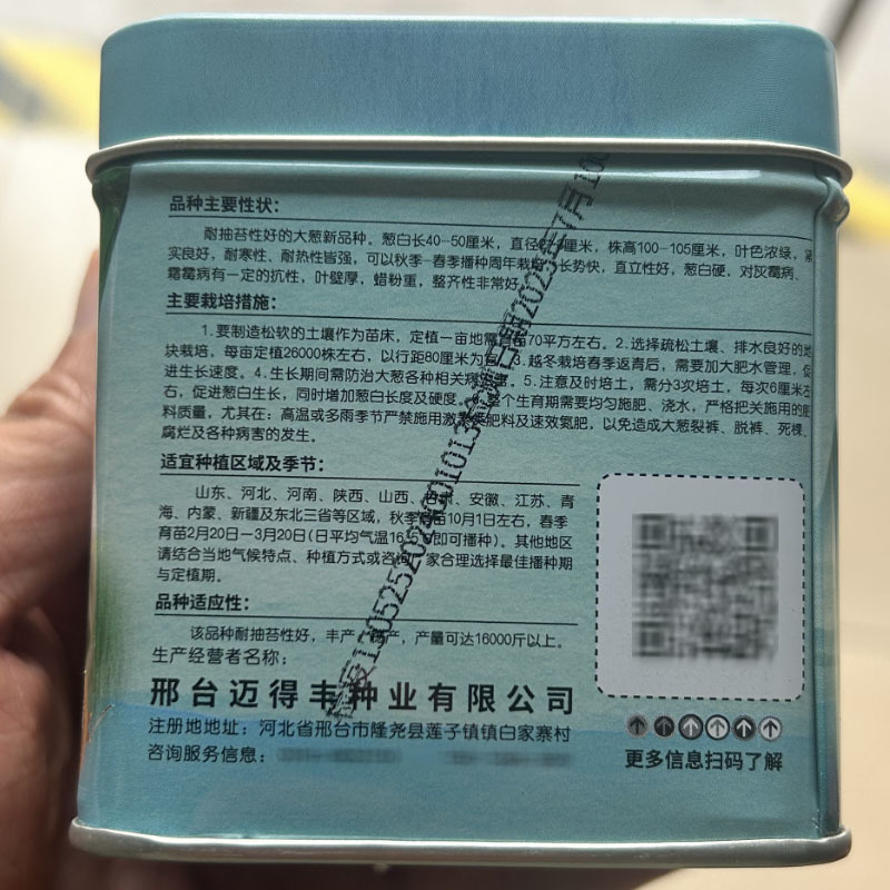 迈得丰钢葱种子耐抽苔耐热铁杆大梧桐大葱种籽抗倒伏