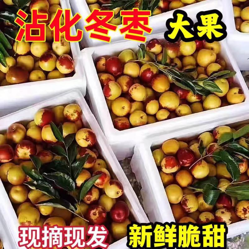 山东精选冬枣一件代发品质保证对接市场商超社区团购