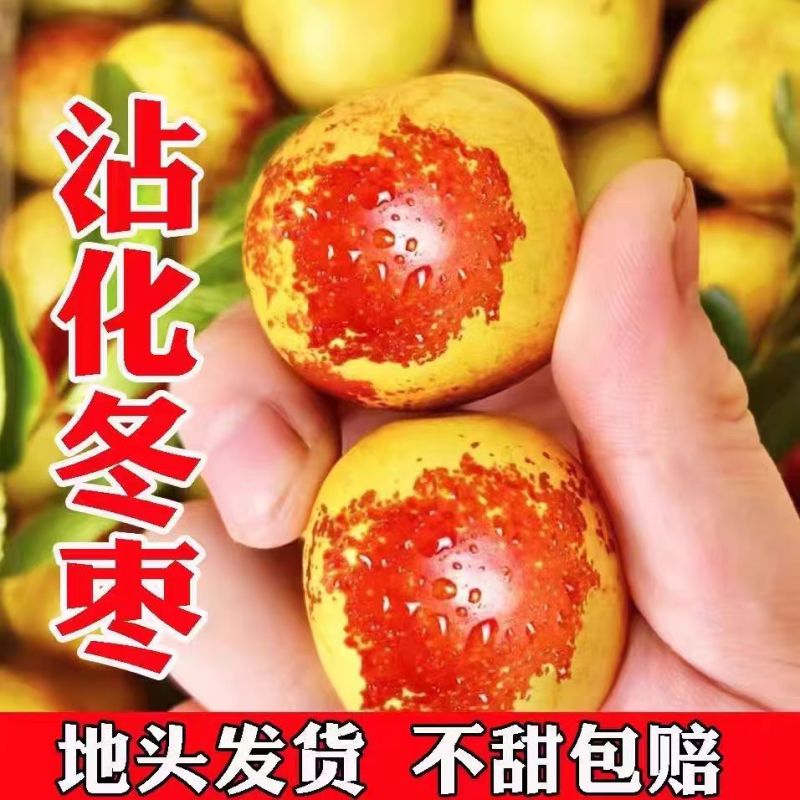 山东精选冬枣一件代发品质保证对接市场商超社区团购