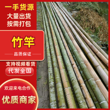 竹竿山头价直销，价格优惠品种不一样价格不一样电联详谈