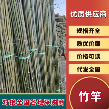 精品竹竿菜架竹短节壁厚韧性硬度好的金竹山行