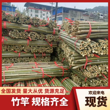 精竹竿规格齐全大量有货全年供应各种竹竿都有