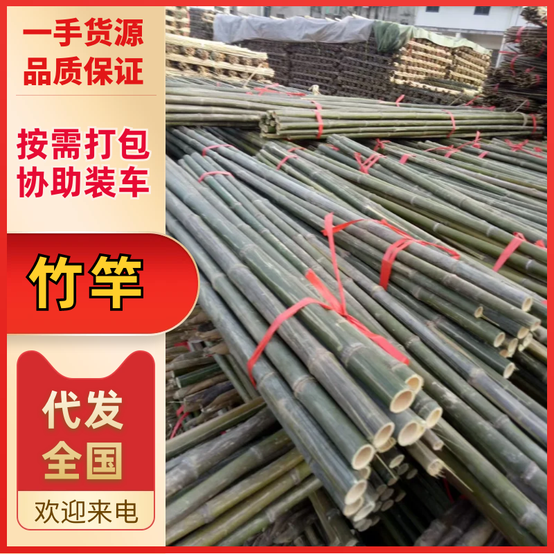 各种规格的节短，根部粗的，山竹，金竹，韧性，硬度好。