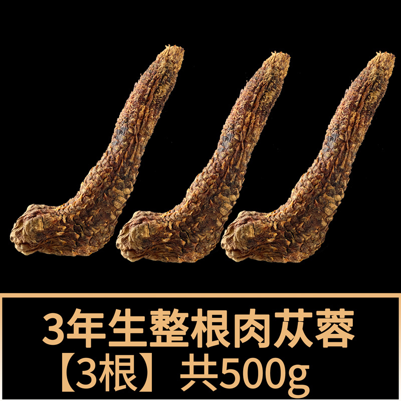 产地直销内蒙古肉苁蓉