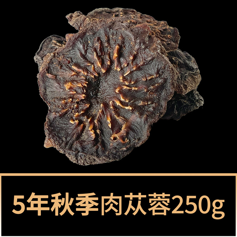 产地直销内蒙古肉苁蓉