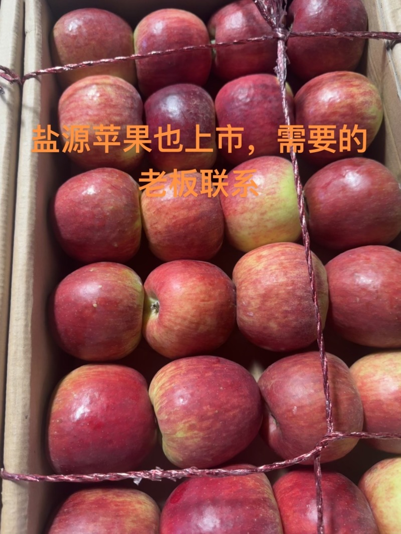 精品华硕苹果四川凉山产地直发一手货源量大从优