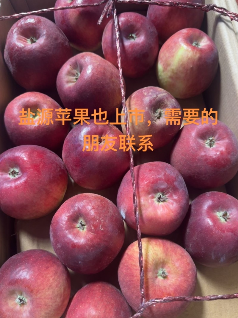 精品华硕苹果四川凉山产地直发一手货源量大从优