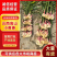 【2026年新货供货】小黄姜正宗云南小黄姜代发全国市场