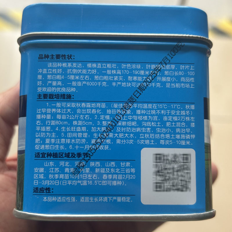 铁杆大梧桐大葱种子高产抗倒伏山东章丘铁杆大梧桐葱种籽