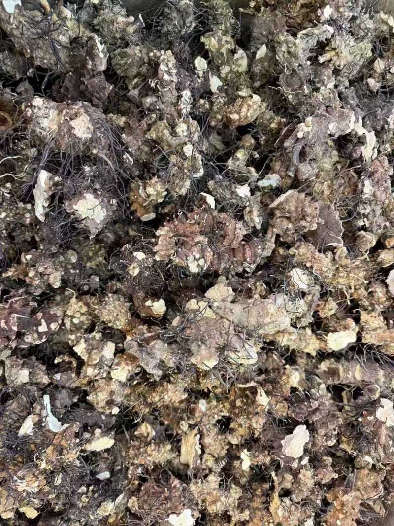 无比加革中药材泡酒料无比加革片，个子