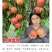 中油金缘7月下旬成熟果型圆果顶平风味浓甜