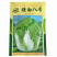 胶州大白菜种子胶研胶白八号秋季山东胶州大白菜籽农家大田