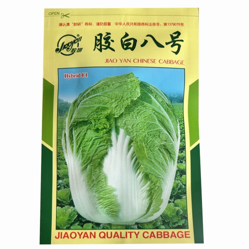 胶州大白菜种子胶研胶白八号秋季山东胶州大白菜籽农家大田
